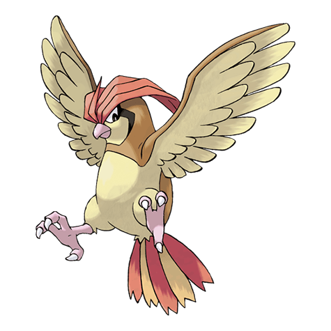 Pidgeotto