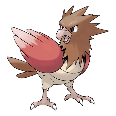 Spearow