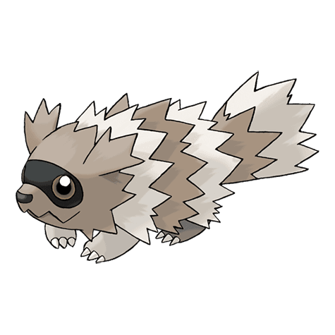 Zigzagoon