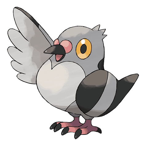 Pidove