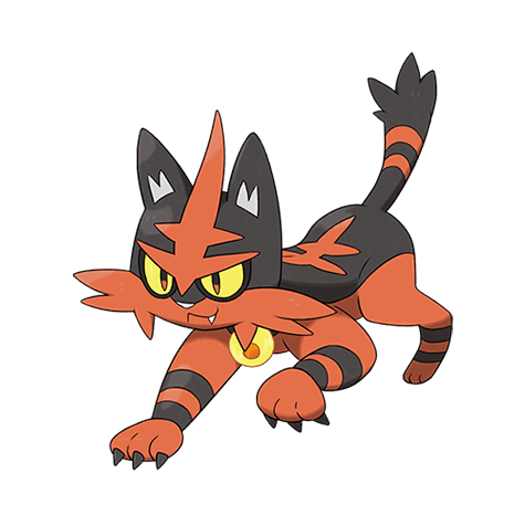 Torracat