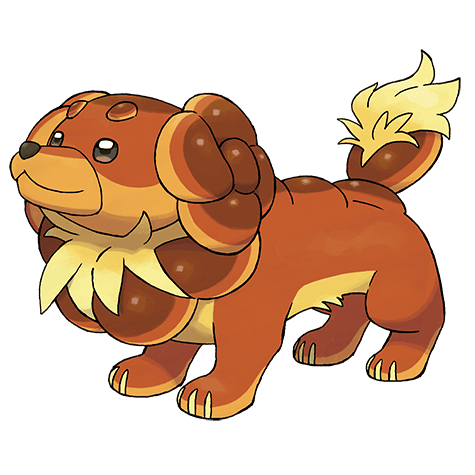 Dachsbun